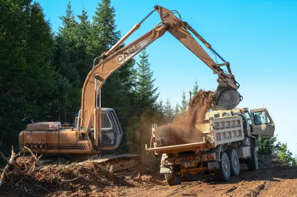 Lupin Casino Supporto